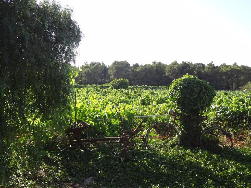 Agroturismo Sa Vinya D'En Palerm سانت ميكيل ذي بالان المظهر الخارجي الصورة